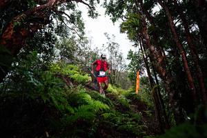 BIB: 
                            <button type="button" onclick="openModal(26203810)" class="btn btn-primary btn-sm float-right btn-popup" data-toggle="modal" data-target=".modal-high-quality">
                        <i class="fas fa-shopping-cart"></i> Add to Cart
                    </button>
                                            <button type="button" onclick="isThisMe(26203810, true)" class="btn btn-success btn-sm float-right btn-popup btn-isme hidden" data-toggle="tooltip" data-placement="bottom" title="นี่คือรูปของคุณใช่ไหม คลิกที่นี่เพื่อเอาเข้าอัลบั้ม">
                        <i class="fas fa-plus"></i> Add to album
                    </button>
                    <button type="button" onclick="isThisMe(26203810, false)" class="btn btn-warning btn-sm float-right btn-popup btn-isnotme hidden">
                        <i class="fas fa-ban"></i> Remove from album
                    </button>